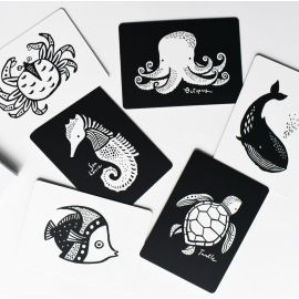 Kijkkaarten Art Cards - Oceaan