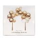 Kit voor DIY gouden ballonnenboog