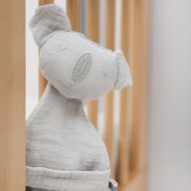 Koala knuffeldoekje- Bliss Grey
