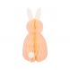 Paasdecoratie - Honeycomb Bunnies