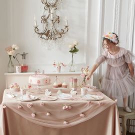 Ballerina feestbordjes