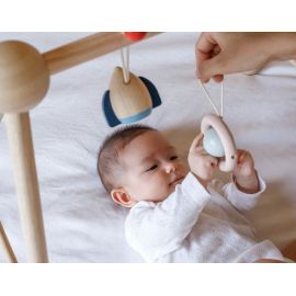 Plan Toys - Babygym - Orchard Collection
