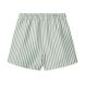 Duke strand shorts Stripe Peppermint / Crisp white - Liewood