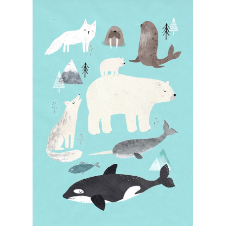 postkaart - Artic animals